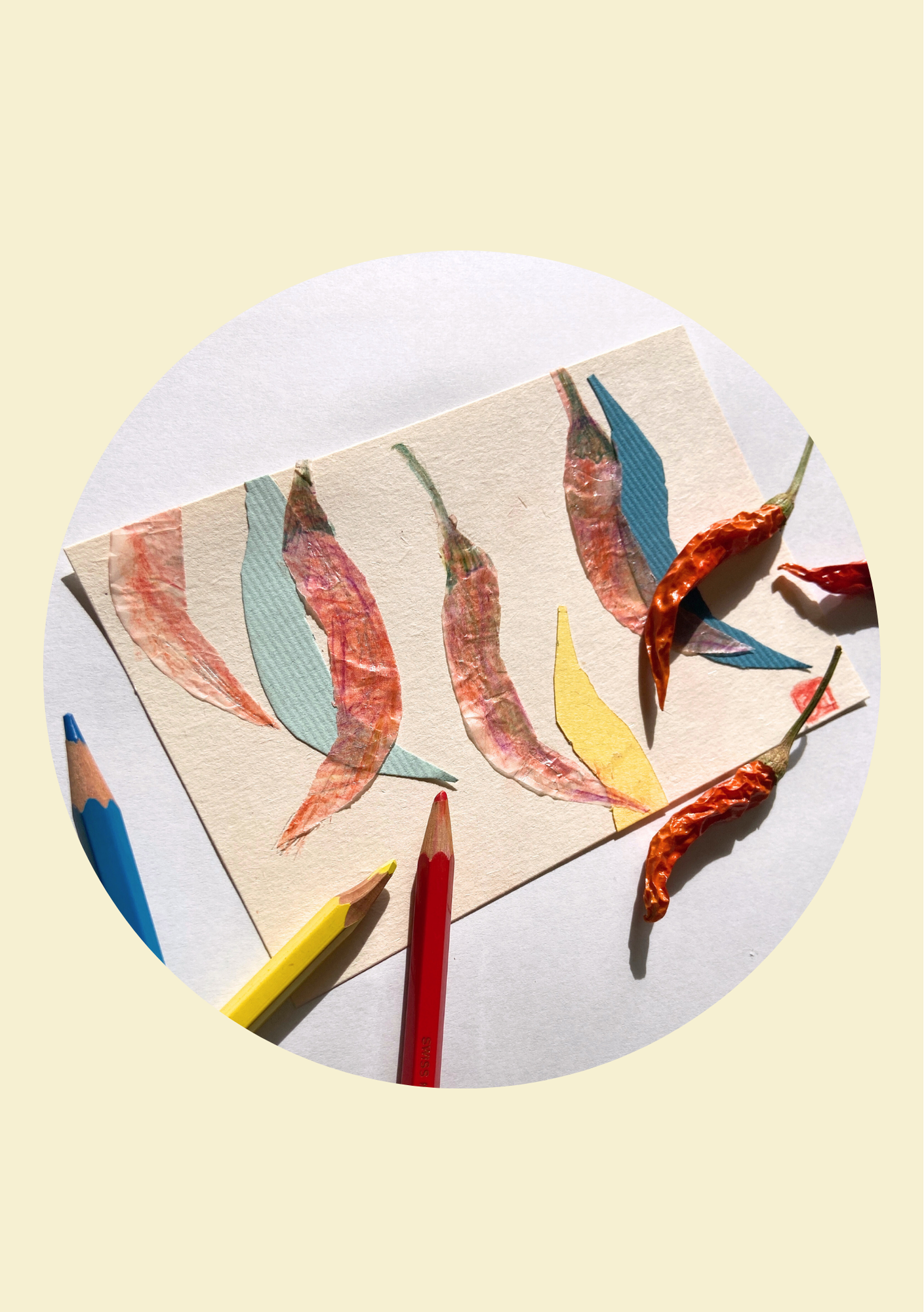 1月16日(金）10：00～12：00　ゆうがおパーク会議室（大）　『とうがらしを描く』の商品画像